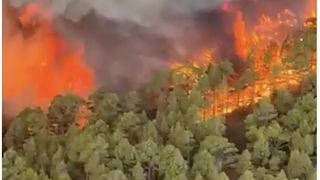 Incendii Tenerife 2023: Peste 3.000 de oameni au fost evacuați