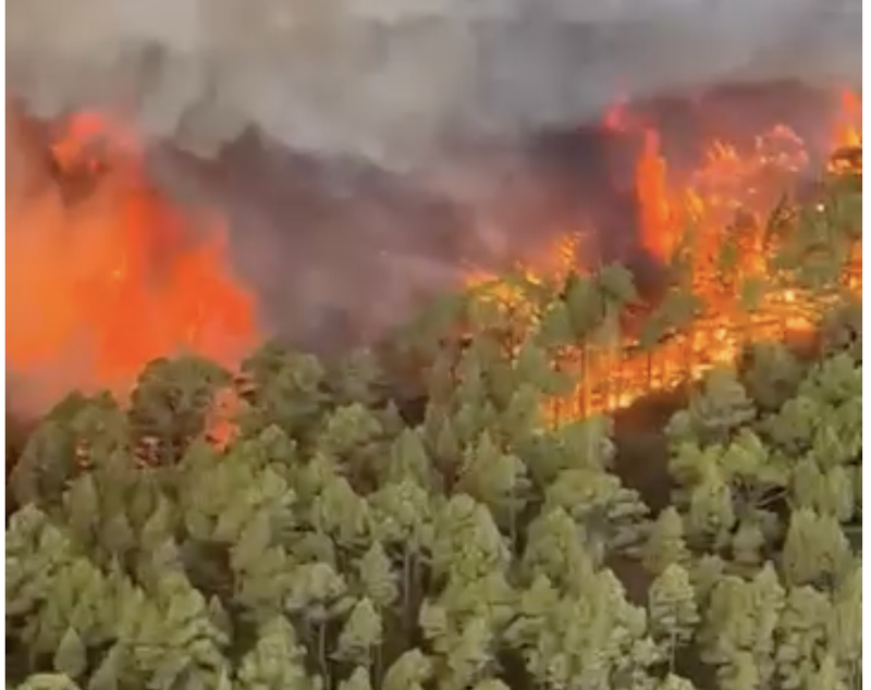 Incendii Tenerife 2023: Peste 3.000 de oameni au fost evacuați