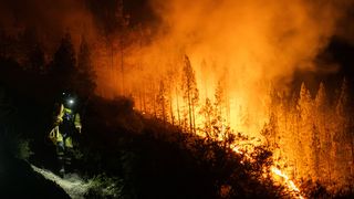 Rom&acirc;ncă din Tenerife: &rdquo;Cred că e cel mai grav incendiu care a avut loc pe insulă. A scăpat de sub control&rdquo;