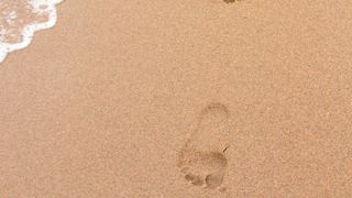 Litoralul pentru toți &icirc;ncepe la 1 septembrie