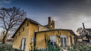 Ce s-ar &icirc;nt&acirc;mpla dacă omenirea ar dispărea? Cum ar arăta lumea un an mai t&acirc;rziu