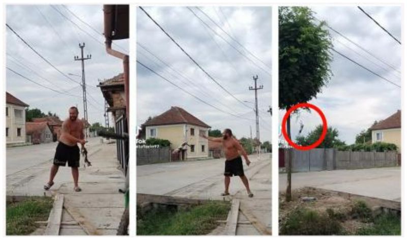 Tânărul a fost reţinut cu o zi mai devreme, în urma cercetărilor pornite sub coordonarea unui procuror din cadrul Parchetului de pe lângă Judecătoria Salonta.