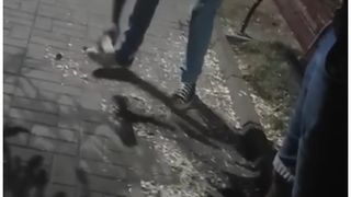 Scene inedite &icirc;n stațiunea T&acirc;rgu-Ocna