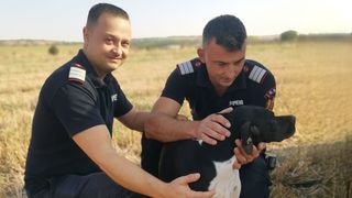 O cățelușă a fost salvată dintr-o fântână de peste 10 metri. După mai bine de 11 ore, cățelușa Kyra a reușit să iasă la suprafață: „Cu ochii blânzi și plini de recunoștință. Nu s-a mai dezlipit de pompieri”