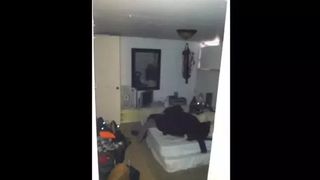 Mai mulți studenți au descoperit o ființă misterioasă &icirc;n subsolul casei lor: &bdquo;Imaginați-vă ce s-ar fi putut &icirc;nt&acirc;mpla...&rdquo;