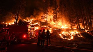 Canada, &icirc;nghițită de incendiile devastatoare: &bdquo;E ca un cimitir aici. Copacii sunt negri&rdquo;