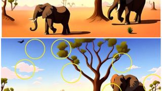 Ai găsit diferențele între imagini?