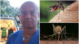 EXCLUSIV: Cât de periculos este virusul West Nile?/ Medic: ”Principala cale de transmitere la om este prin înțepătura țânțarilor”