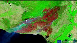 "Cel mai mare incendiu de vegetație din istoria UE", în regiunea Alexandroupolis