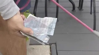 Situație neplăcută pentu un cuplu, cu doar câteva zile înainte de a se căsători. Nunta lor de vis din Italia a fost ruinată după ce câinele le-a mâncat pașapoartele