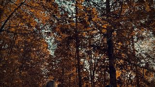 Alexandra Ivanov a fost înmormântată ieri, 21 august. 