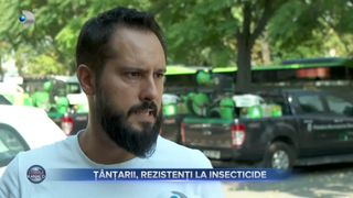 VIDEO- Țânțarii, rezistenți la insecticide.  "West Nile poate îmbrăca de la forme simple ca o răceală, până la manifestări de meningită și encefalită"