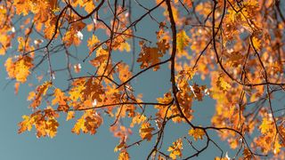 Prognoza meteo septembrie