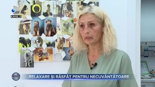 VIDEO - Relaxare și răsfăț pentru necuv&acirc;ntătoare