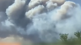 Noi detalii &icirc;n cazul celor 18 cadavre găsite carbonizate, &icirc;ntr-o zonă afectată de incendii, &icirc;n Grecia