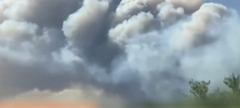 Noi detalii în cazul celor 18 cadavre găsite carbonizate, într-o zonă afectată de incendii, în Grecia
