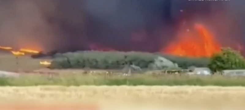 Noi detalii în cazul celor 18 cadavre găsite carbonizate, într-o zonă afectată de incendii, în Grecia
