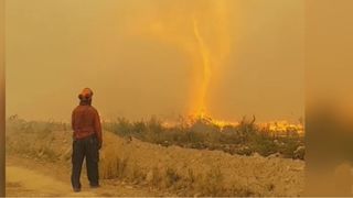 VIDEO. Ce este "tornada de foc", fenomenul extrem de rar filmat în Canada
