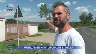 VIDEO - Urșii „amenință” litoralul și Delta - Avertismentul unui primar din județul Buzău
