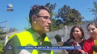 VIDEO - Copac plantat &icirc;n locul suferinței. Tatăl fetei ucise &icirc;n tragedia de la 2 Mai a plantat simbolic un măr