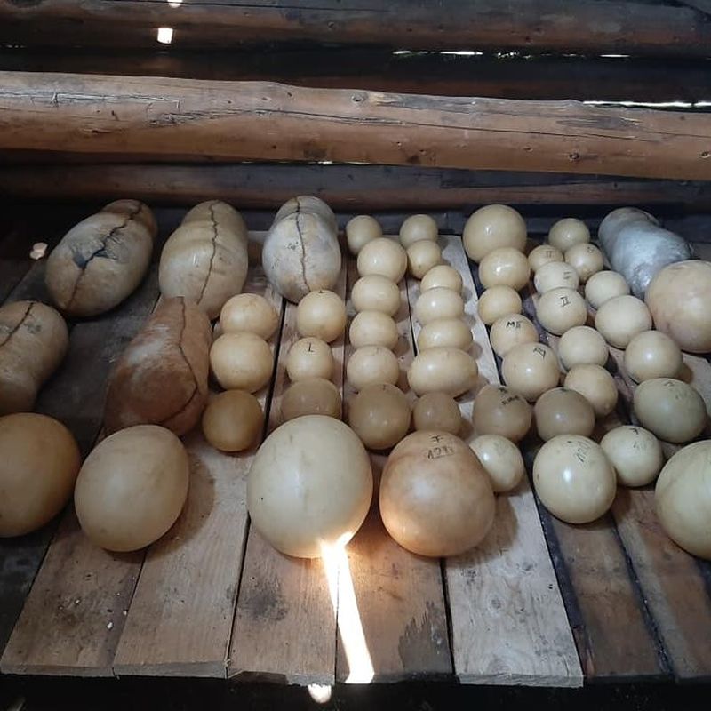 Florin Tara vinde produse naturale