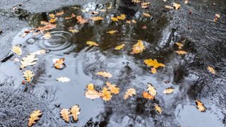 Prognoza meteo pentru 4 săptăm&acirc;ni. Cum va fi vremea &icirc;n luna septembrie? Meteorologii anunță temperaturi neobișnuite pentru această perioadă