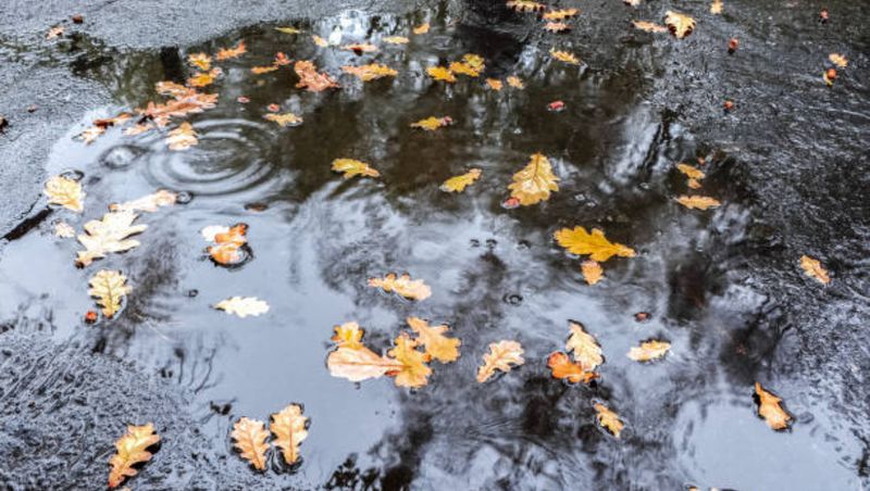 Prognoza meteo pentru 4 săptămâni. Cum va fi vremea în luna septembrie? Meteorologii anunță temperaturi neobișnuite pentru această perioadă