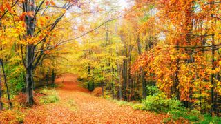 Prognoza meteo pentru 4 săptăm&acirc;ni. Cum va fi vremea &icirc;n luna septembrie? Meteorologii anunță temperaturi neobișnuite pentru această perioadă