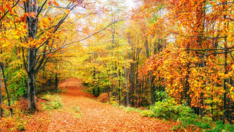 Prognoza meteo pentru 4 săptămâni. Cum va fi vremea în luna septembrie? Meteorologii anunță temperaturi neobișnuite pentru această perioadă