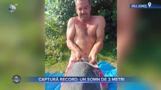 VIDEO - Captură record: Un pescar a prins un somn de aproape 2 metri lungime pe r&acirc;ul Someș