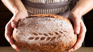 P&acirc;inea cu maia: chiar este mai bună?