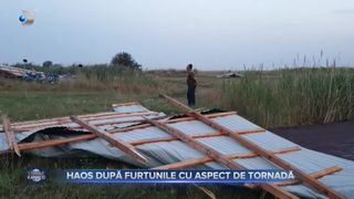 Furtuna a făcut prăpăd &icirc;n județul Buzău! Vijelia puternică a distrus o fermă din mijlocul c&acirc;mpului
