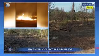 VIDEO - Incendiu violent &icirc;n parcul IOR din Capitală! Flăcările au cuprins o suprafaţă de peste 4.000 de metri pătraţi