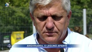 VIDEO - &bdquo;Hrana bogaților&rdquo; a ajuns &icirc;n Rom&acirc;nia! Banca de Resurse Genetice Vegetale Buzău are &icirc;n curs de omologare un soi nou de anghinare