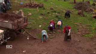 Familia care merge &icirc;n patru labe &icirc;i derutează pe oamenii de știință: &bdquo;Nu ar trebui să existe&rdquo;