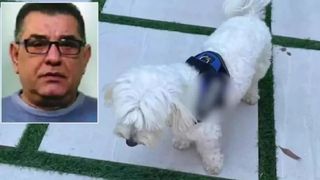 Capul mafiei din Napoli, săltat de carabinieri din cauza propriului câine. Cum l-a dat patrupedul de gol