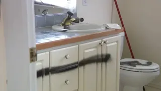 A v&acirc;ndut o casă care stătea să se dăr&acirc;me, pentru o sumă uriașă. Nimeni nu a crezut-o că va reuși. Femeia a &icirc;ncasat 590.000 de dolari cash &icirc;ntr-o săptăm&acirc;nă