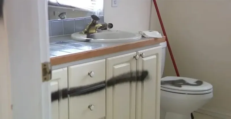 A vândut o casă care stătea să se dărâme, pentru o sumă uriașă. Nimeni nu a crezut-o că va reuși. Femeia a încasat 590.000 de dolari cash într-o săptămână