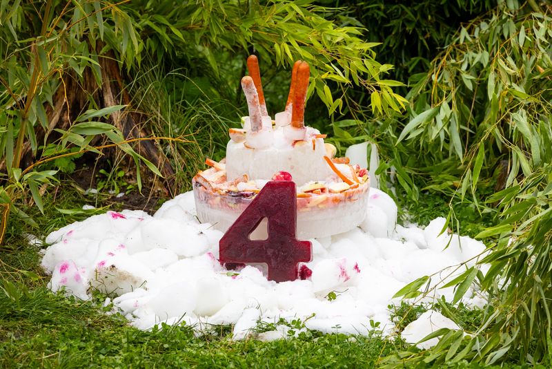 Doi urși panda gemeni avut cea mai bună zi de naștere! Au primit un tort uriaș, numai pentru ei