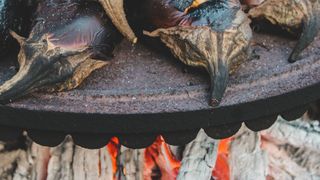 Gustul e dat și de vinetele coapte