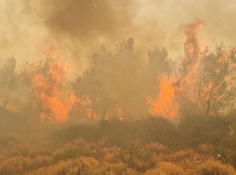 Incendiile din Grecia sunt de necontrolat. În urma dezastrelor provocate de flăcări, 81 mii de hectare au fost afectate