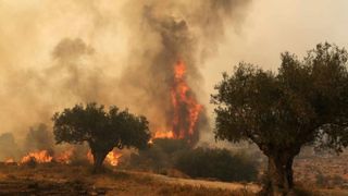 Incendiile din Grecia sunt de necontrolat. &Icirc;n urma dezastrelor provocate de flăcări, 81 mii de hectare au fost afectate