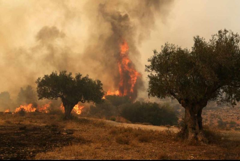 Incendiile din Grecia sunt de necontrolat. În urma dezastrelor provocate de flăcări, 81 mii de hectare au fost afectate