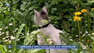 VIDEO - Grădinile spectaculoase ale vedetelor la &bdquo;Casă de vedetă&rdquo;
