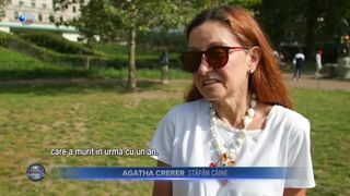 Cățeii din rasa Corgi s-au adunat &icirc;n fața Palatului Buckingham pentru a-i aduce un tribut Reginei Elisabeta a II-a