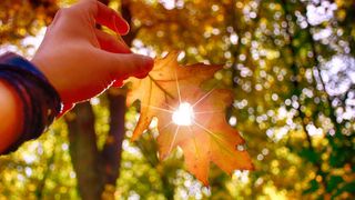 &Icirc;nceput de toamnă cu temperaturi neobișnuite. Metoerologii au anunțat cum va fi vremea &icirc;n septembrie. Prognoza completă