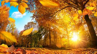 &Icirc;nceput de toamnă cu temperaturi neobișnuite. Metoerologii au anunțat cum va fi vremea &icirc;n septembrie. Prognoza completă