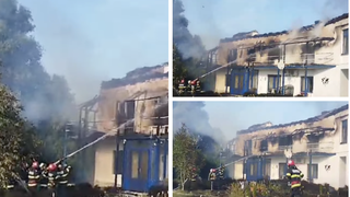 Incendiu la casa de vacanță a unui fost ministru, în județul Tulcea. Cine ar fi autorul faptei