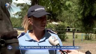 VIDEO - Caii, partenerii de nădejde ai Jandarmeriei Române. Jozefin a însoțit cortegiul funerar al Regelui Mihai I al României