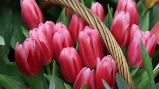 Felicitări de Sf. Maria Mică 2023. Mesaje și felicitări superbe pentru sărbătoriții zilei.